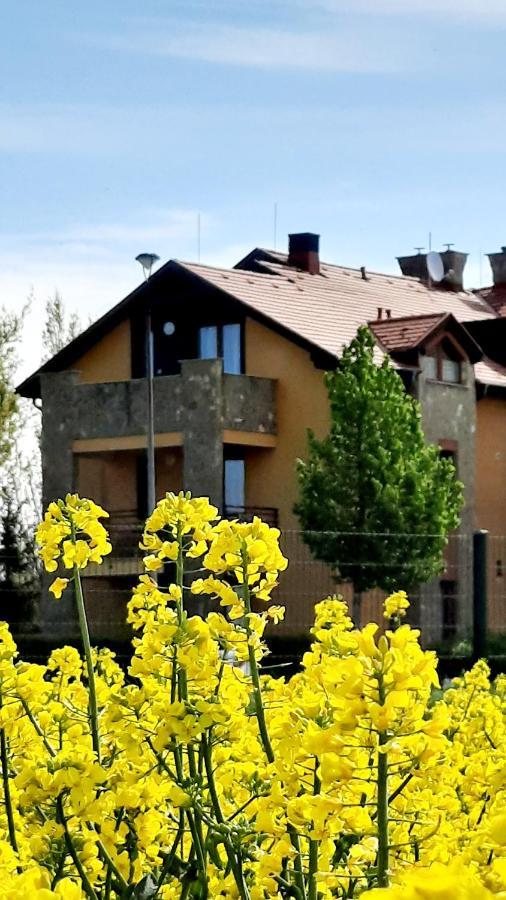 Kamilla Apartman Villapark Бюк Экстерьер фото